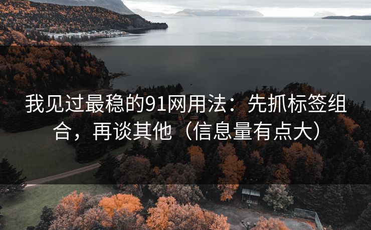 我见过最稳的91网用法:先抓标签组合,再谈其他(信息量有点大) 我见过最稳的91网用法:先抓标签组合,再谈其他(信息量有点大)