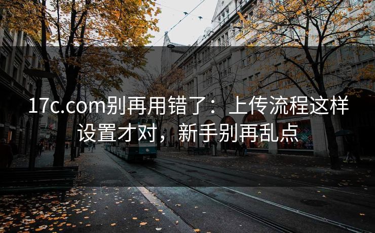 17c.com别再用错了：上传流程这样设置才对，新手别再乱点