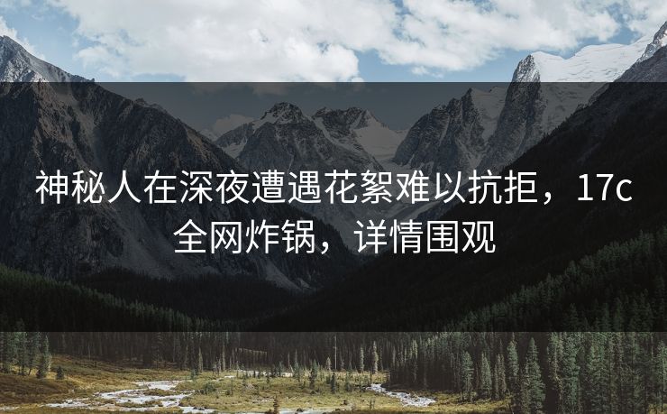 神秘人在深夜遭遇花絮难以抗拒，17c全网炸锅，详情围观