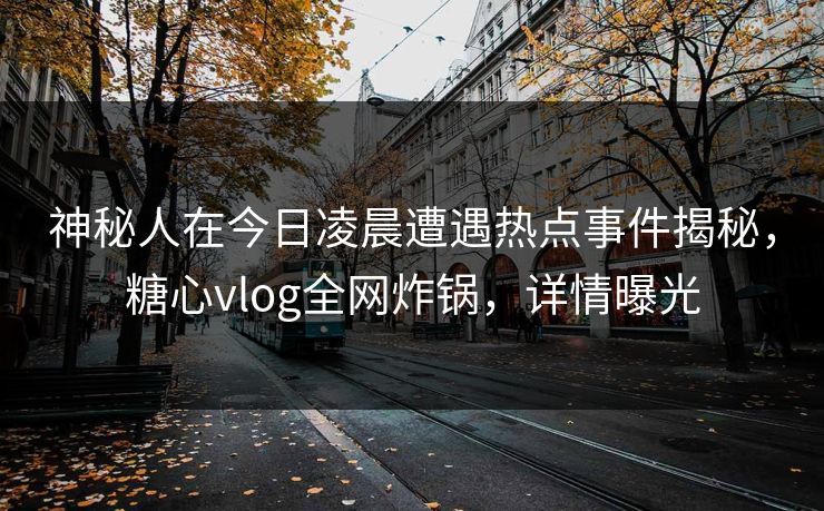 神秘人在今日凌晨遭遇热点事件揭秘，糖心vlog全网炸锅，详情曝光