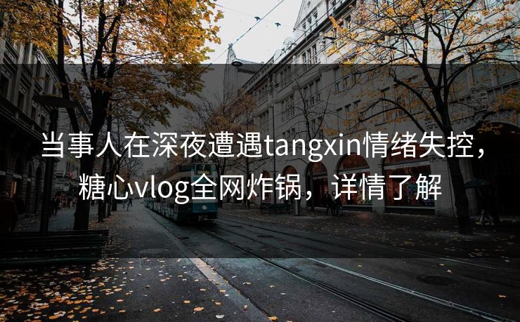 当事人在深夜遭遇tangxin情绪失控，糖心vlog全网炸锅，详情了解