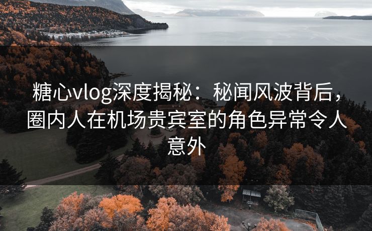 糖心vlog深度揭秘：秘闻风波背后，圈内人在机场贵宾室的角色异常令人意外