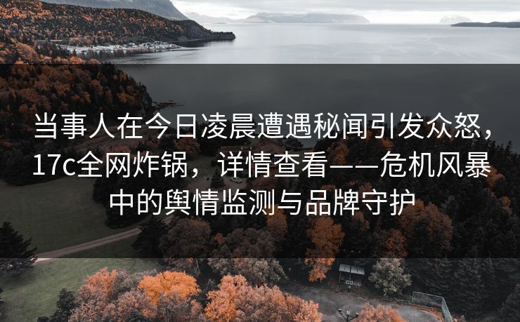 当事人在今日凌晨遭遇秘闻引发众怒，17c全网炸锅，详情查看——危机风暴中的舆情监测与品牌守护