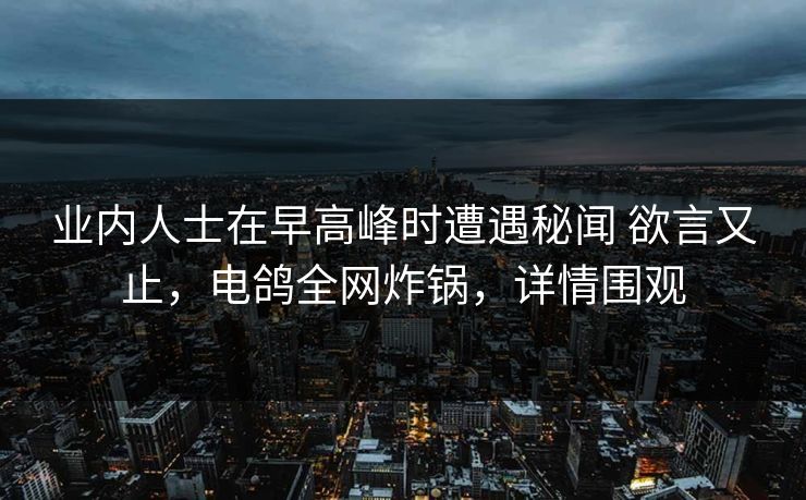 业内人士在早高峰时遭遇秘闻 欲言又止，电鸽全网炸锅，详情围观