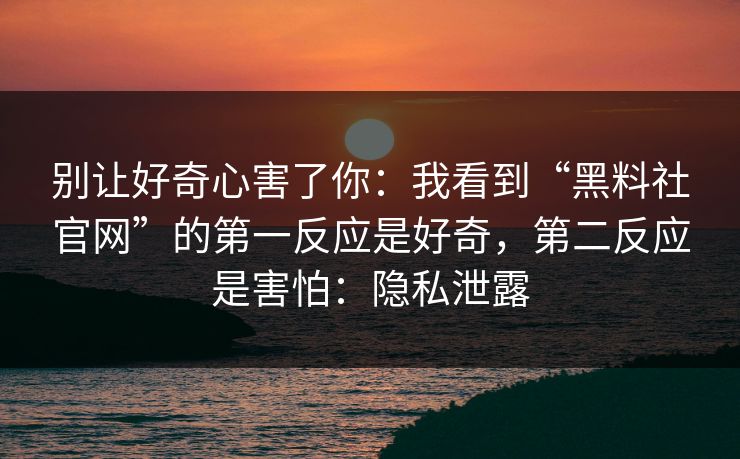 别让好奇心害了你：我看到“黑料社官网”的第一反应是好奇，第二反应是害怕：隐私泄露